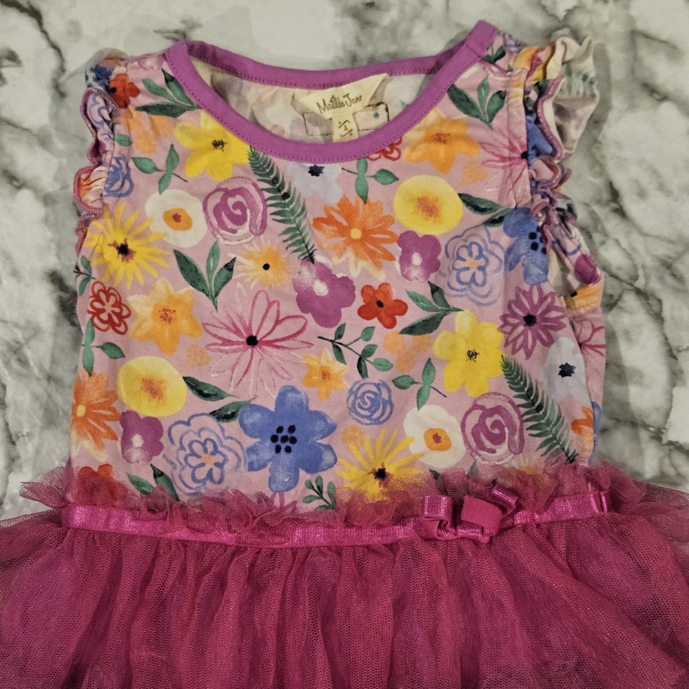 Matilda Jane Adventure Begins Fairy Garden Frenchie Dress Size 4
